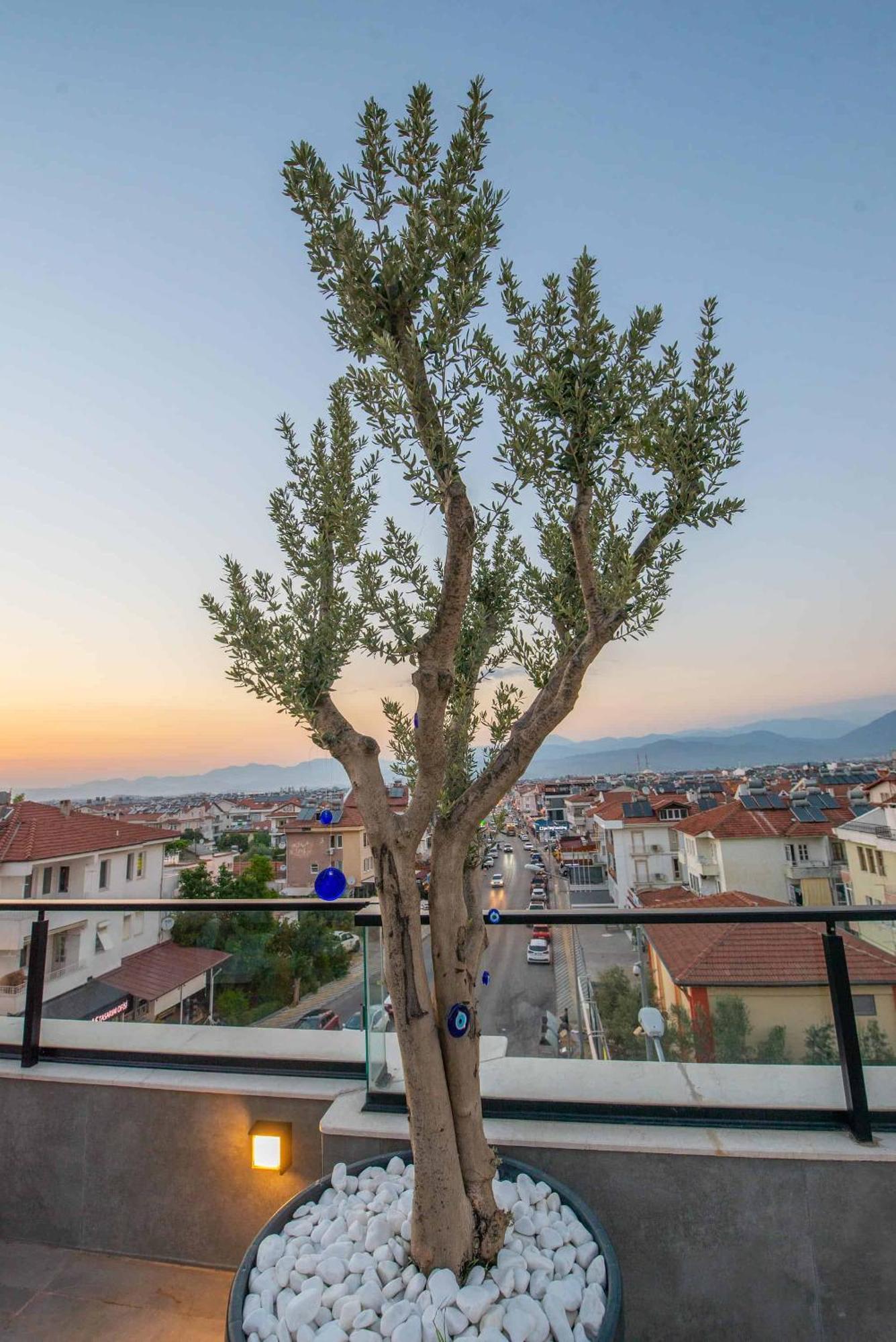 Belci City House Fethiye Ngoại thất bức ảnh